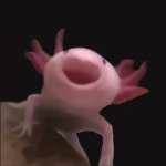 KAWAII AXOLOTLS SQUAD