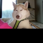 FUN LAND💅🙄 (come and enjoy!)