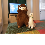 Lama groop