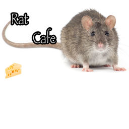 The Rat cult gang's Place hangout
