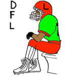 Developmental Football League