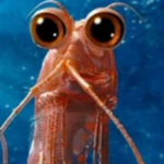 Krill Collective