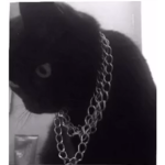 Lewzxc