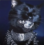 uhh cat