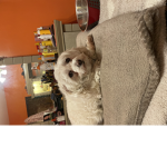 Rest In Peace bubba