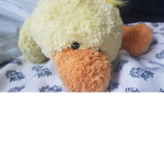 Robloxia duck army