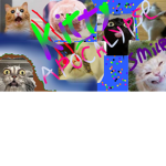 Kitty_Apocalypse