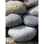 the rock club