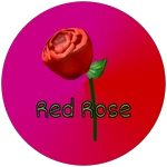 Red Rose