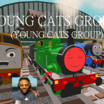 young cats group