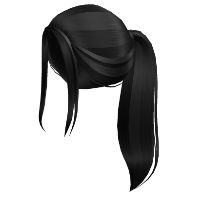 Aesthetic black ponytail