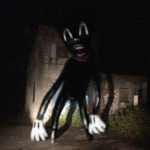 The Cryptids Secret Society