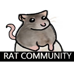 Rats Games Shows