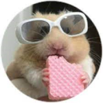 ~Happy Hamsters~