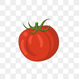Dominus Tomatous