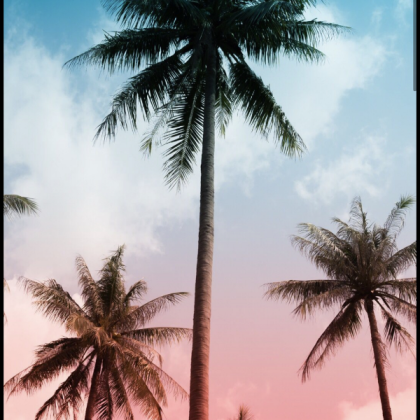 Vibe Background Roblox decal