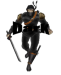 Dark Ninjas Legion
