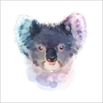 Cuddly Koala Squad :D