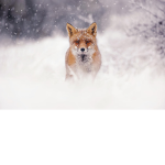 friendly_group12345