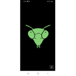 GROUP OF MANTIS