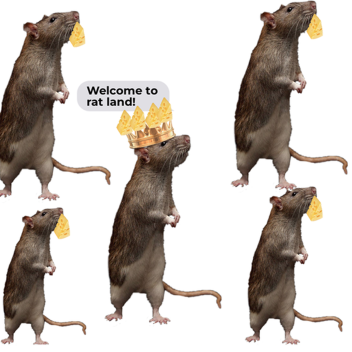 So