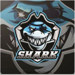 shark killer
