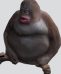 Hhhhhhhhhhhhhhhhhhhhhhhhhhhhhh(hhhhhhhhhhhhhhh