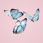 -/ Butterfly Squad /-