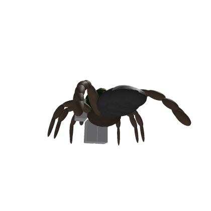 Spider morph