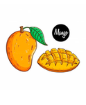 The Mango Studio