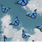 !!Butterflies!!