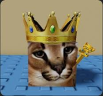 GAME FLOPPS