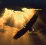 the golden eagle warriors