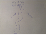 Worms assembled