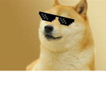 doge squad 1234