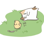 라희