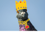 Pigeons Mobile Services