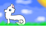 [~ Warrior Cats Fans ~]