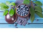 Blueberry Buddies