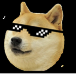 DOGES RULE!!!!