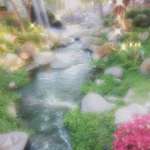 Natasha's Kitties!