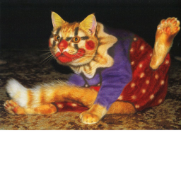 stinky little circus