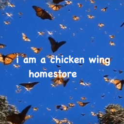 i am a chicken wing homestore