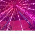 Summer_pink