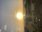 havana’s siimplies