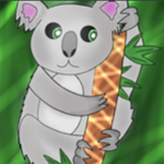 Team Koala’s