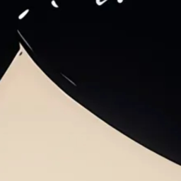 ✧