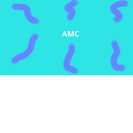 Welcome to Amc by Abbie