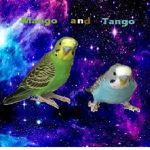 Group Thumbnail