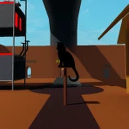 Cats Training Retro
